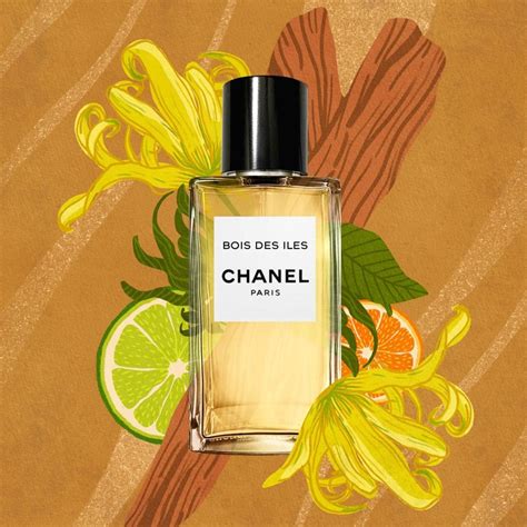 chanel bois des iles vs egoiste|Chanel Egoiste vs. Chanel Bois des Iles cologne/fragrance review.